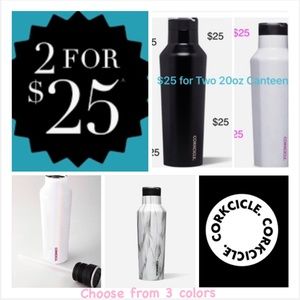 Two Corkcicle Tumblers